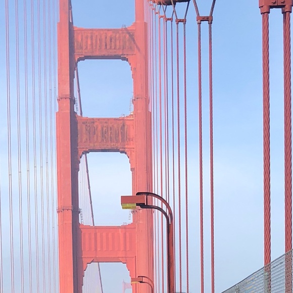 Meet your Posher, Vince - Picture 1 of 1